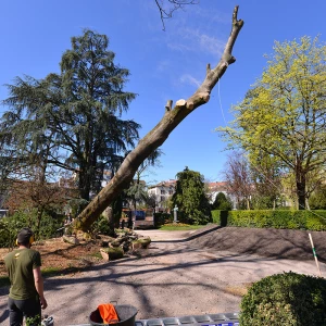 Tonte de gazon et entretien des bordures à Montignac.
