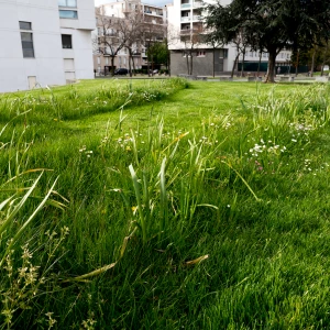 Débroussaillage intensif sur terrain accidenté.
